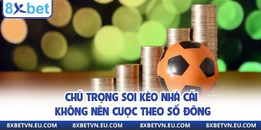 Chú trọng soi kèo nhà cái không nên cược theo số đông