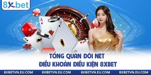 Tổng quan đôi nét điều khoản điều kiện 8xbet