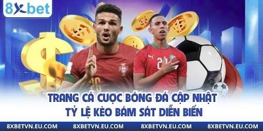 Trang cá cược bóng đá cập nhật tỷ lệ kèo bám sát diễn biến