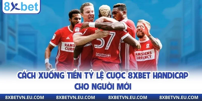 Cách xuống tiền tỷ lệ cược 8xbet handicap cho người mới