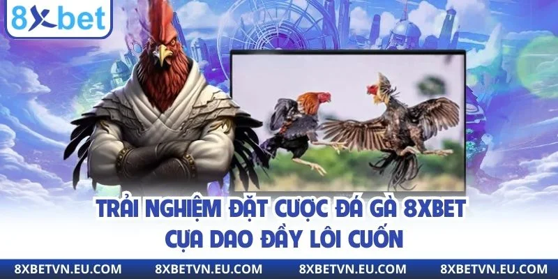 Trải nghiệm đặt cược đá gà 8xbet cựa dao đầy lôi cuốn