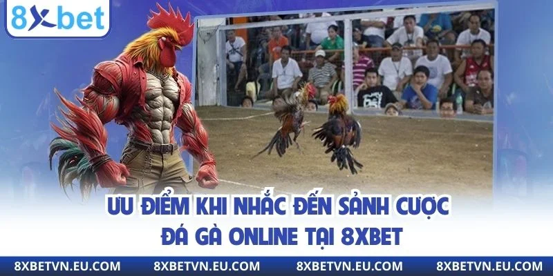 Ưu điểm khi nhắc đến sảnh cược đá gà online tại 8xbet