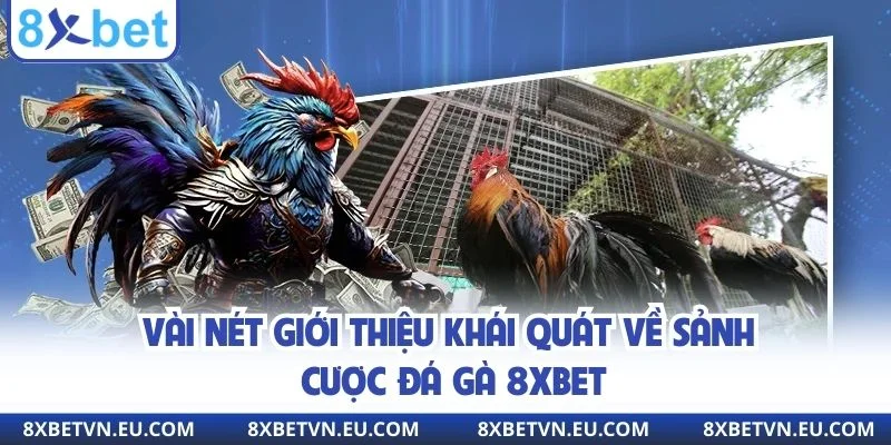 Vài nét giới thiệu khái quát về sảnh cược đá gà 8xbet