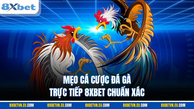 Mẹo cá cược đá gà trực tiếp 8XBET chuẩn xác