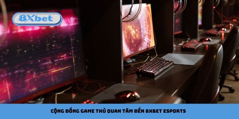 Vì Sao Cộng Đồng Game Thủ Quan Tâm Đến 8xbet Esports