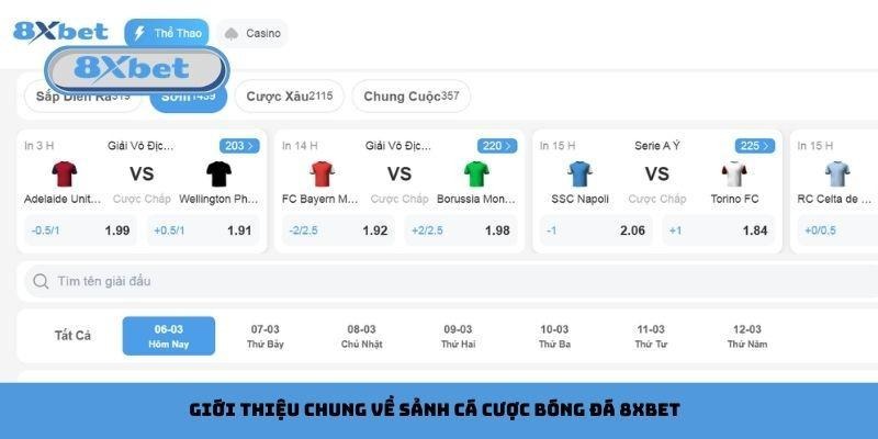 Giới thiệu chung về sảnh cá cược bóng đá 8xbet
