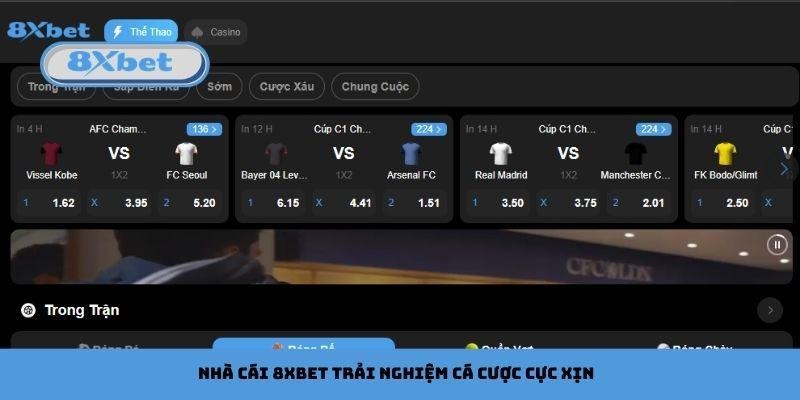 Nhà cái 8xbet mang đến trải nghiệm cá cược cực xịn